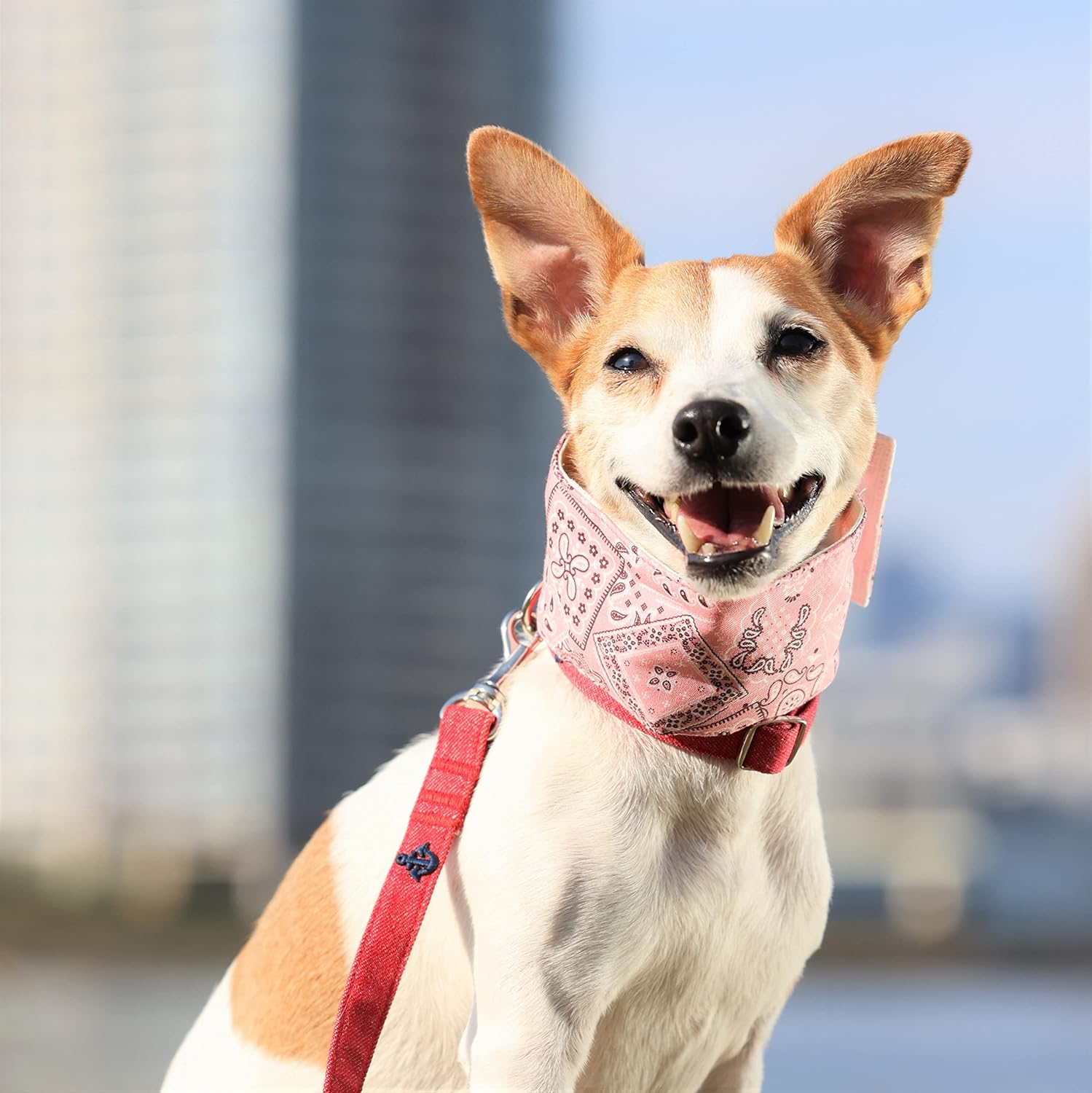 Dog and Life Cool Neck Band EX (With Soft Ice Pack), Pink, Dog, XL Size image number 4