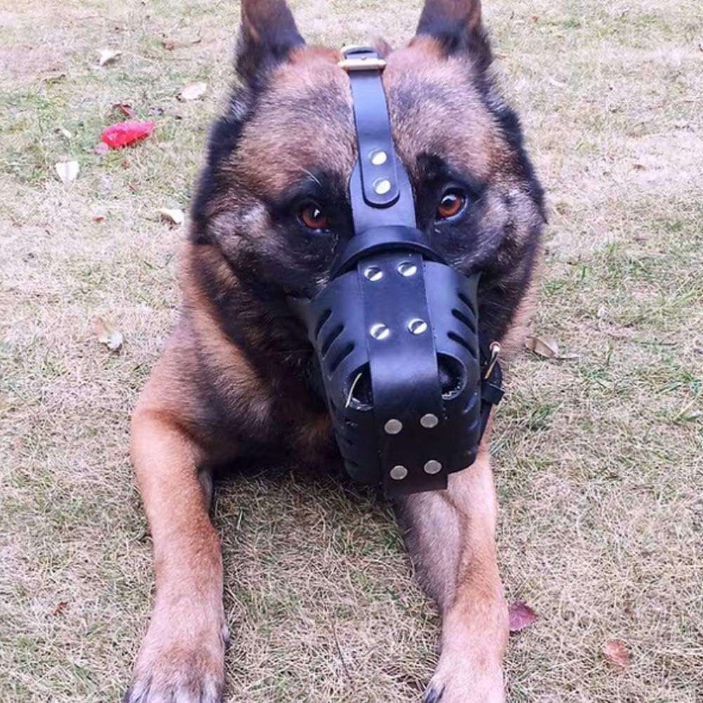 Dog Muzzle Made of Genuine Leather, Pitbull Terrier Secure Basket Dog Muzzle with Adjustable Bite Chewing Barking Training Dog Mask for Medium and Large Dogs image number 2