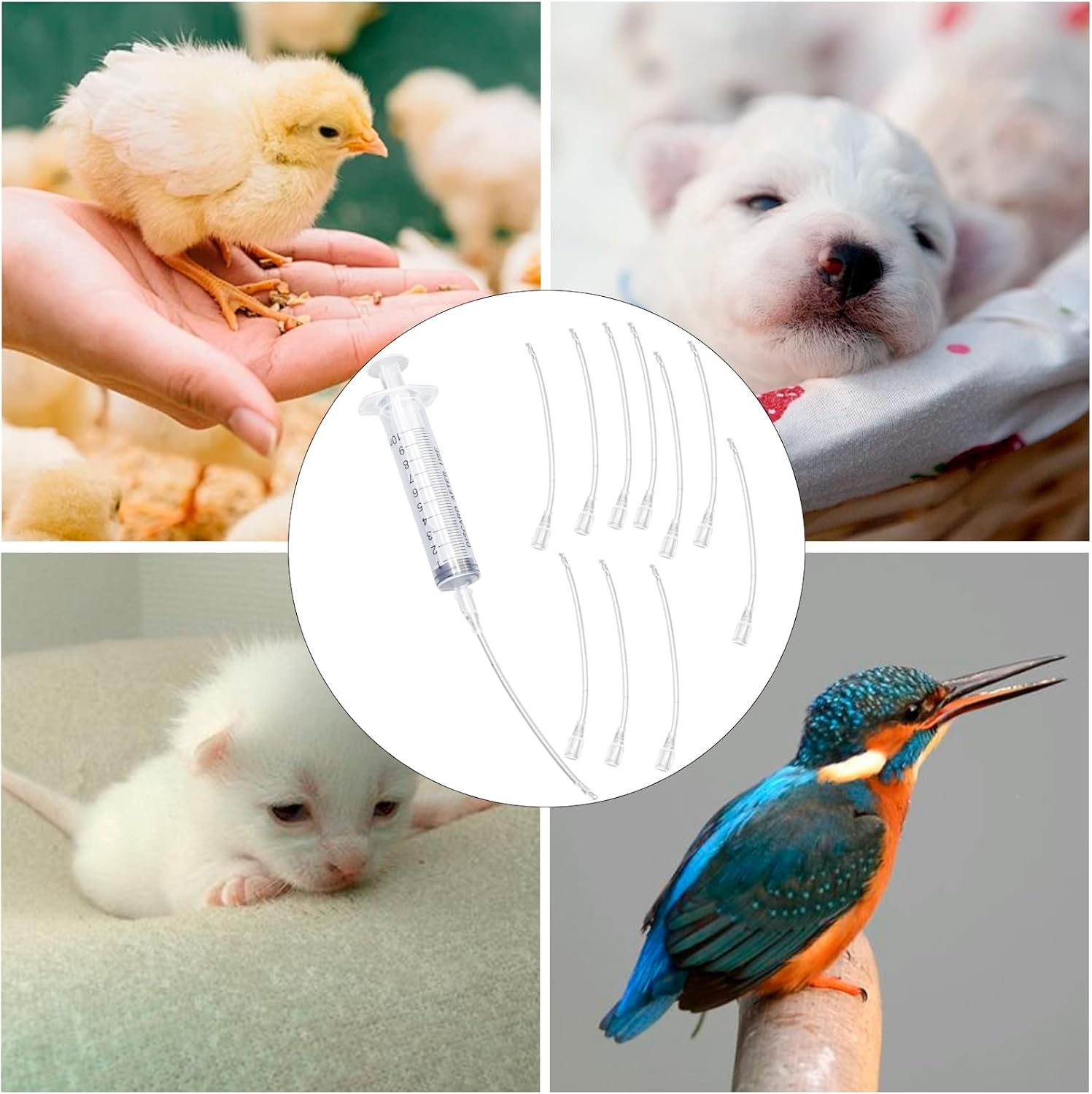 Syringe with Hose, Young Birds Feeder Set, Syringe 10 Ml with 10 Pieces Hose, Pigeon Accessories, Baby Birds Parrot Supply Syringes, Hand Feeding Tool, for Feeding Milkbirds Parrots Small image number 5