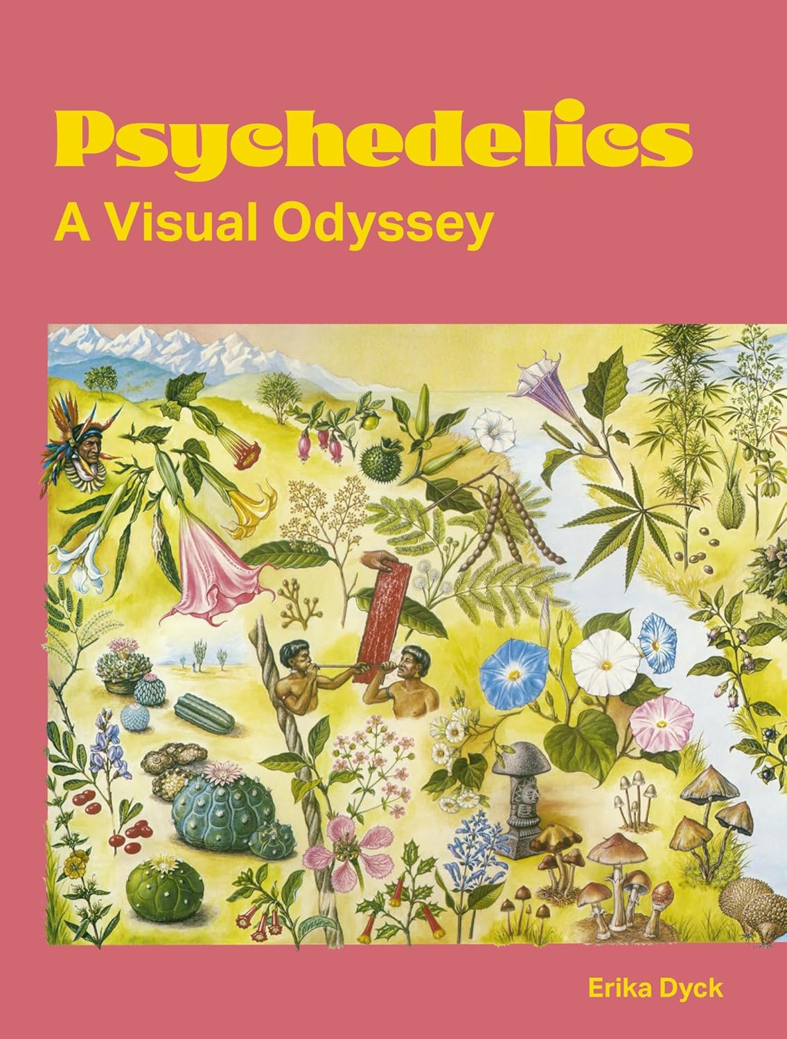 Psychedelics: a Visual Odyssey image number 3