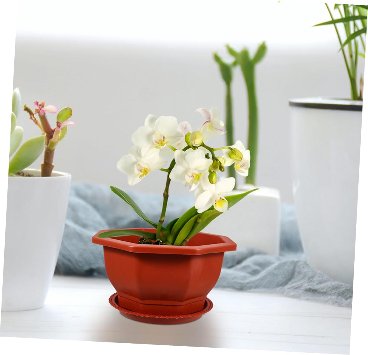 KONTONTY Octagonal Red Plant Pots 5Pcs with Saucers Thickened Plastic Indoor Plant Pots Outdoor Planters Small Indoor Planter for Home Gardening image number 1