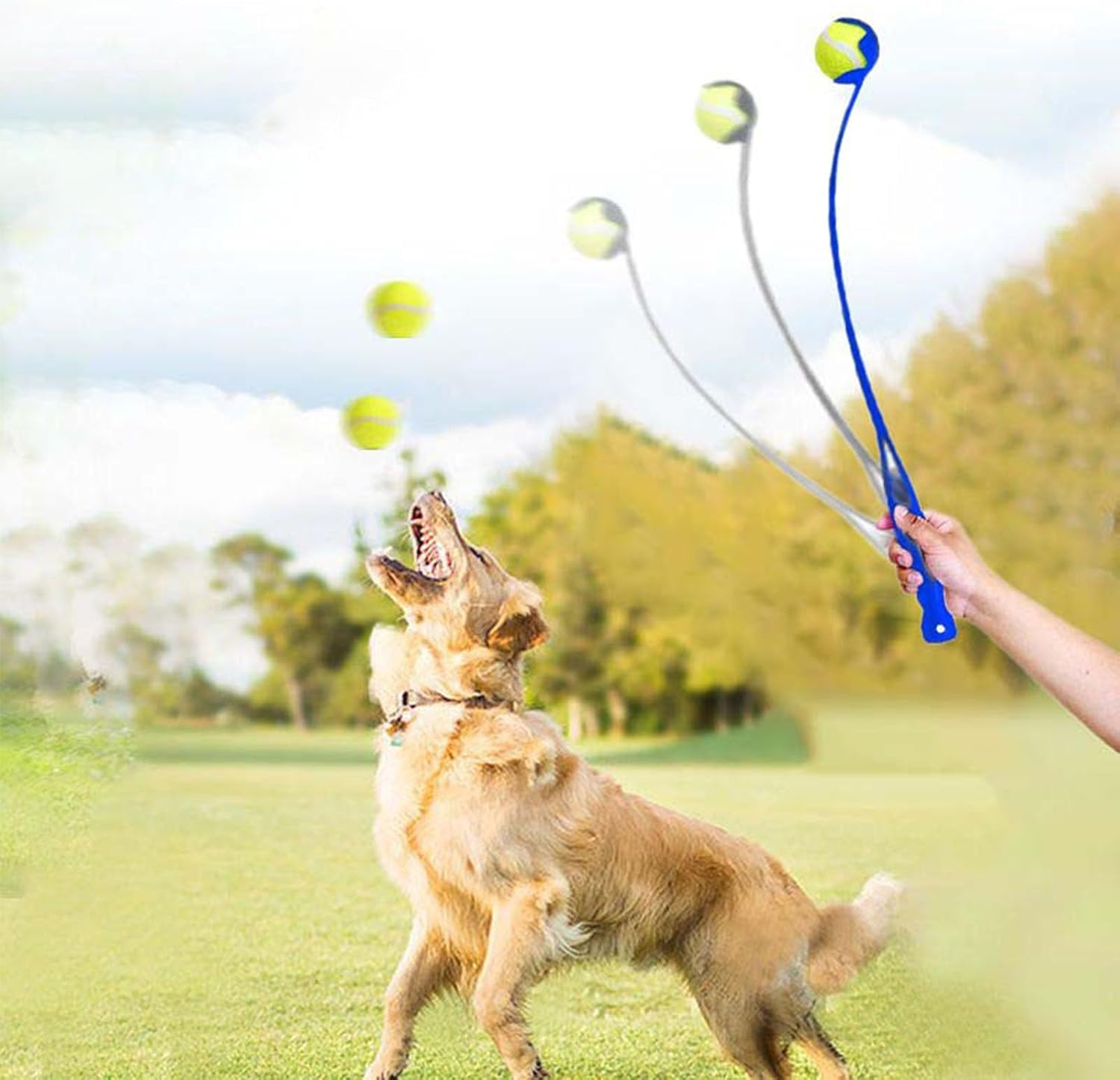 Classic Ball Launcher, Dog Ball Launcher, Launcher for Dogs - Dog Ball + Tennis Ball Thrower for Fetch - Perfect Toy for Large + Small Dogs/88 image number 1