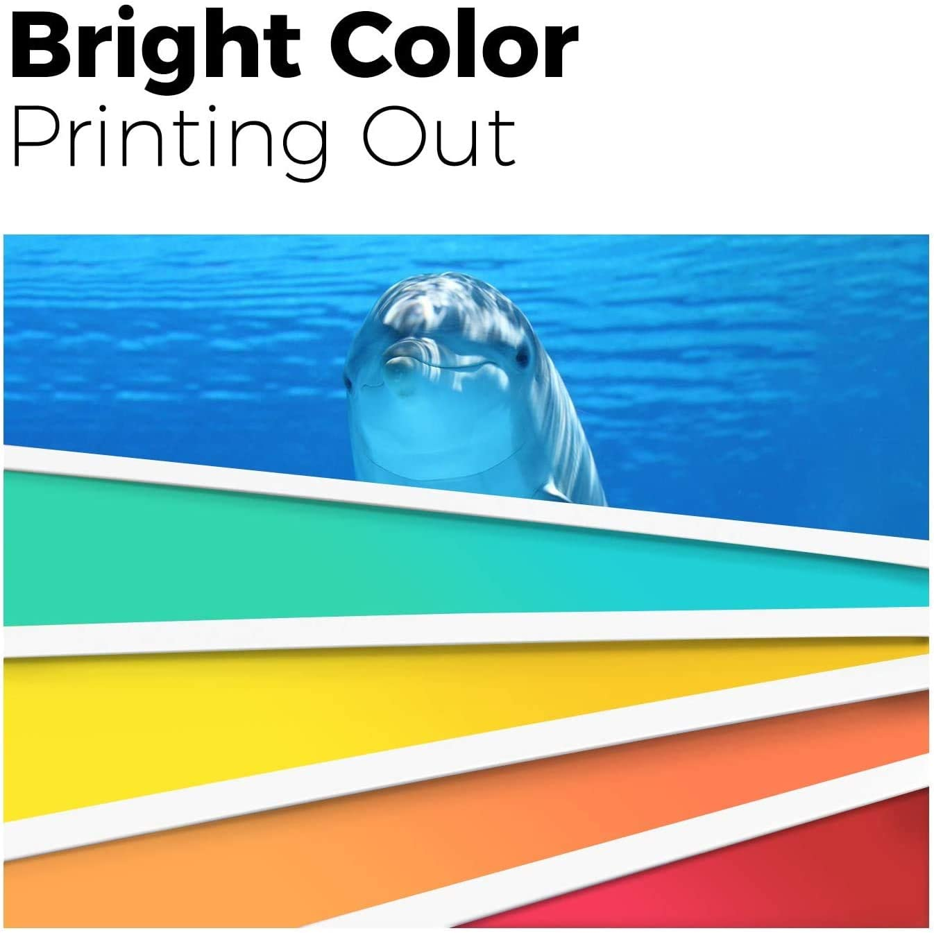 10 Pack Generic 220XL Ink Cartridge Compatible with Epson Workforce WF-2760 WF-2750 WF-2630 WF-2650 WF-2660 Expression Home XP-320 XP-420 XP-220 XP-324（4BK.2C,2M,2Y image number 1