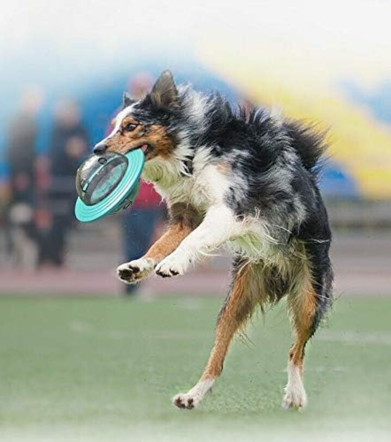 EZONEDEAL Planet Dog Toy,Frisbee Toys Interactive Dog Toys,Food Treat Dispensing Dog Treat Toys for Small Medium Large Dogs,Dog Puzzle Toys Develop Dog Intelligence,Dog Birthday Treat Ball (Blue) image number 3