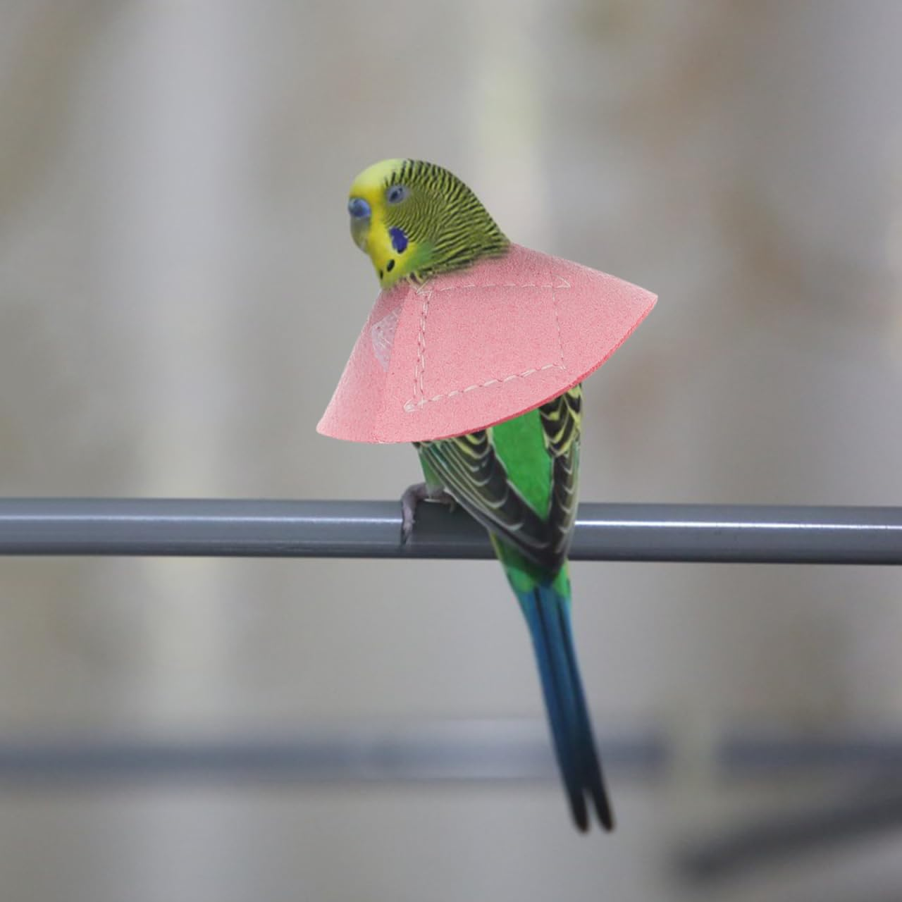 Iplusmile Adjustable Small Bird Recovery Collar Parrot Neck Ring Pet Protective Anti-Bite Cone for Wound Healing and Scratch Prevention image number 2