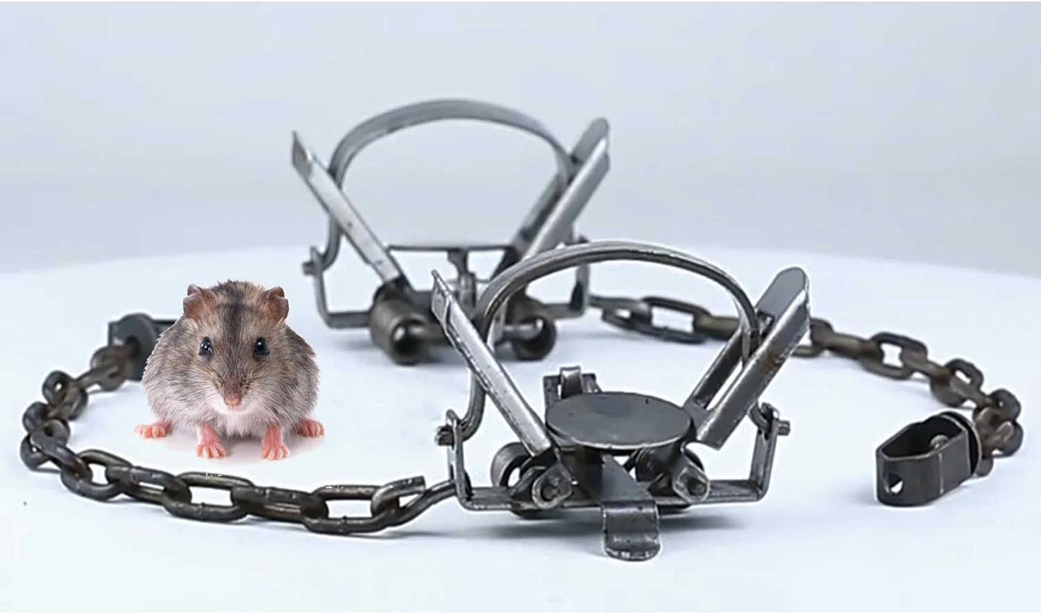 Taicols Rat Trap, 2 Pack Small Animal Traps, Metal Mouse Traps Quick Effectively, Rat and Chipmunk Traps, Outdoor Hunting Tools for Possum Raccoon Fox Rabbit Cat, Mice Trap, Pest Control for Rats image number 5