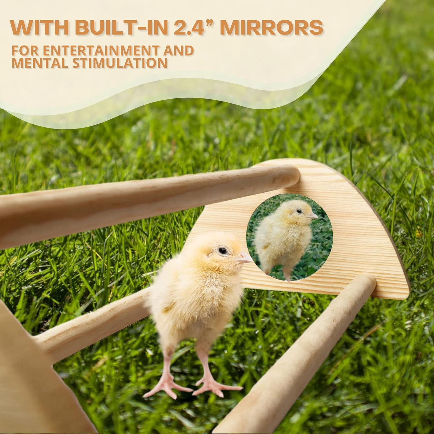 Tongass 16" Extra Long Chicken Perch - Freestanding Roosting Bar for Baby Chicks with Built-In Mirrors for Entertainment - Durable Polished Bamboo Roosting Bar - 15 3/4 X 6 5/8 X 3 1/2" image number 3