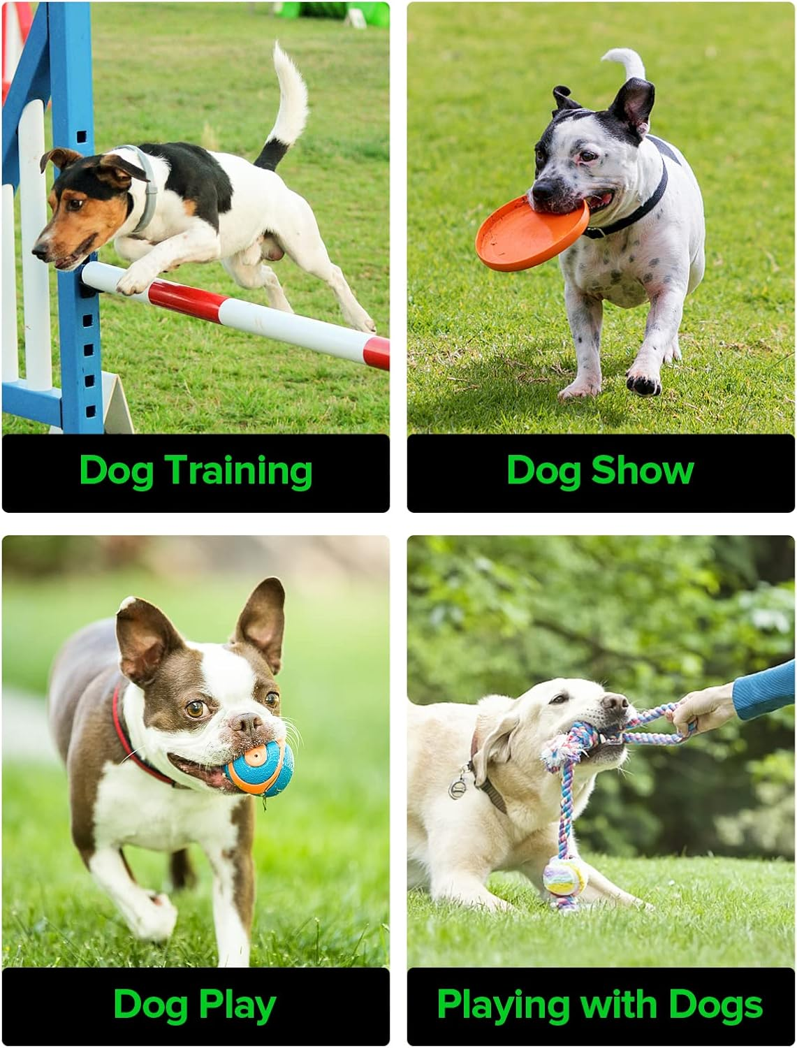 Realure Small Dog Treat Bag, Hands-Free Puppy Treat Bag with Waist Belt Clip, Easy Open Dog Treat Pouch Bag, Outdoor Use Dog Treat Bags for Pet Puppy Walking Training Travel Waterproof, Double, Black image number 4