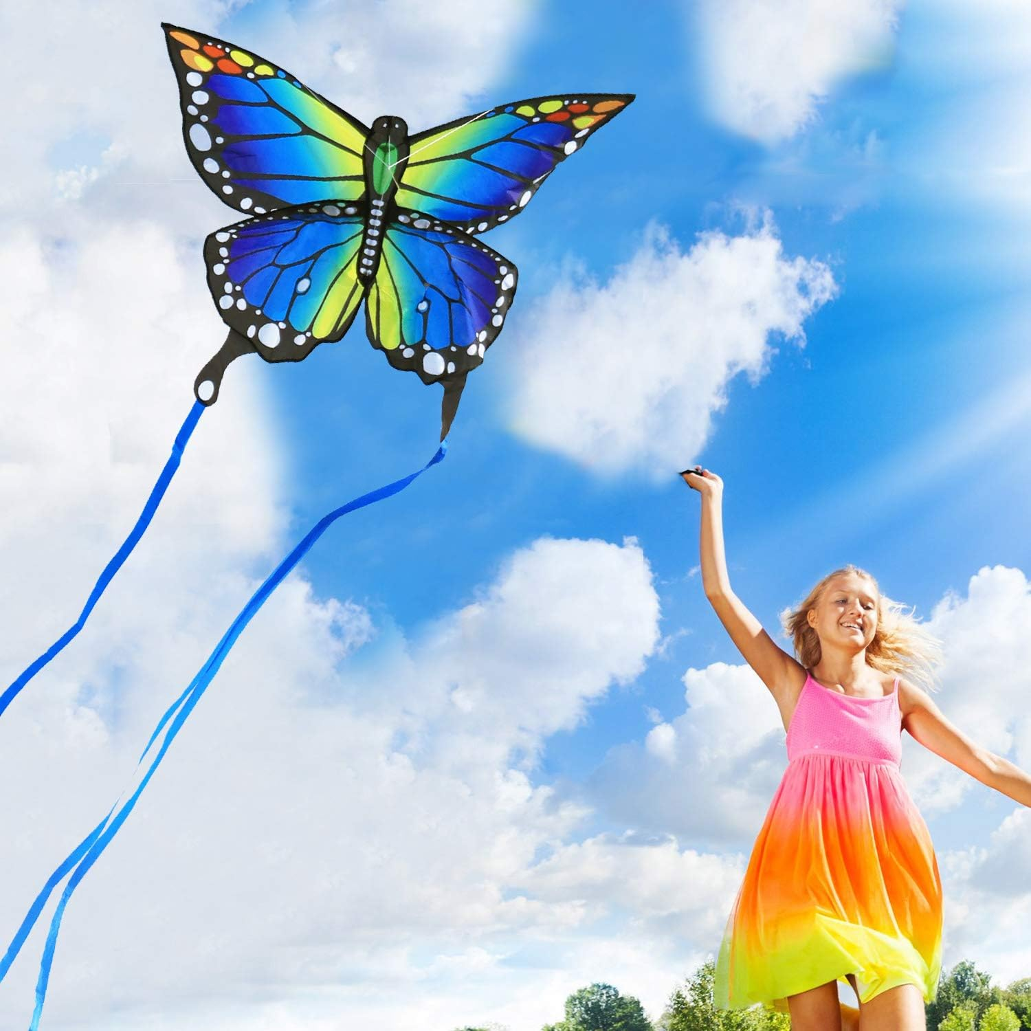 HONBO BUTTERFLY-KITES