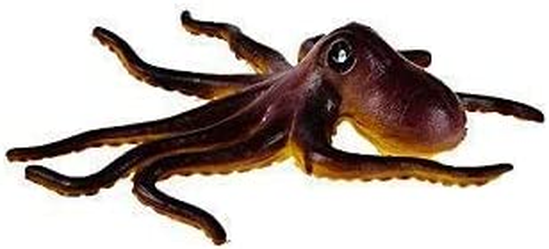 BOHS Assorted Sealife Creature Figures - Marine Ocean Sea Fish Animals Toys image number 6