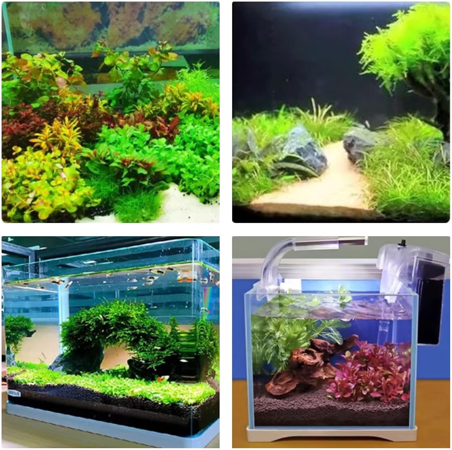 Aquascaping Tools 5 in 1 Kit Aquarium Scissors Plant Tools Curved & Straight Scissor Tweezers Spatula Stainless Steel anti Rust Aquascape Tools for Fish Tank image number 4