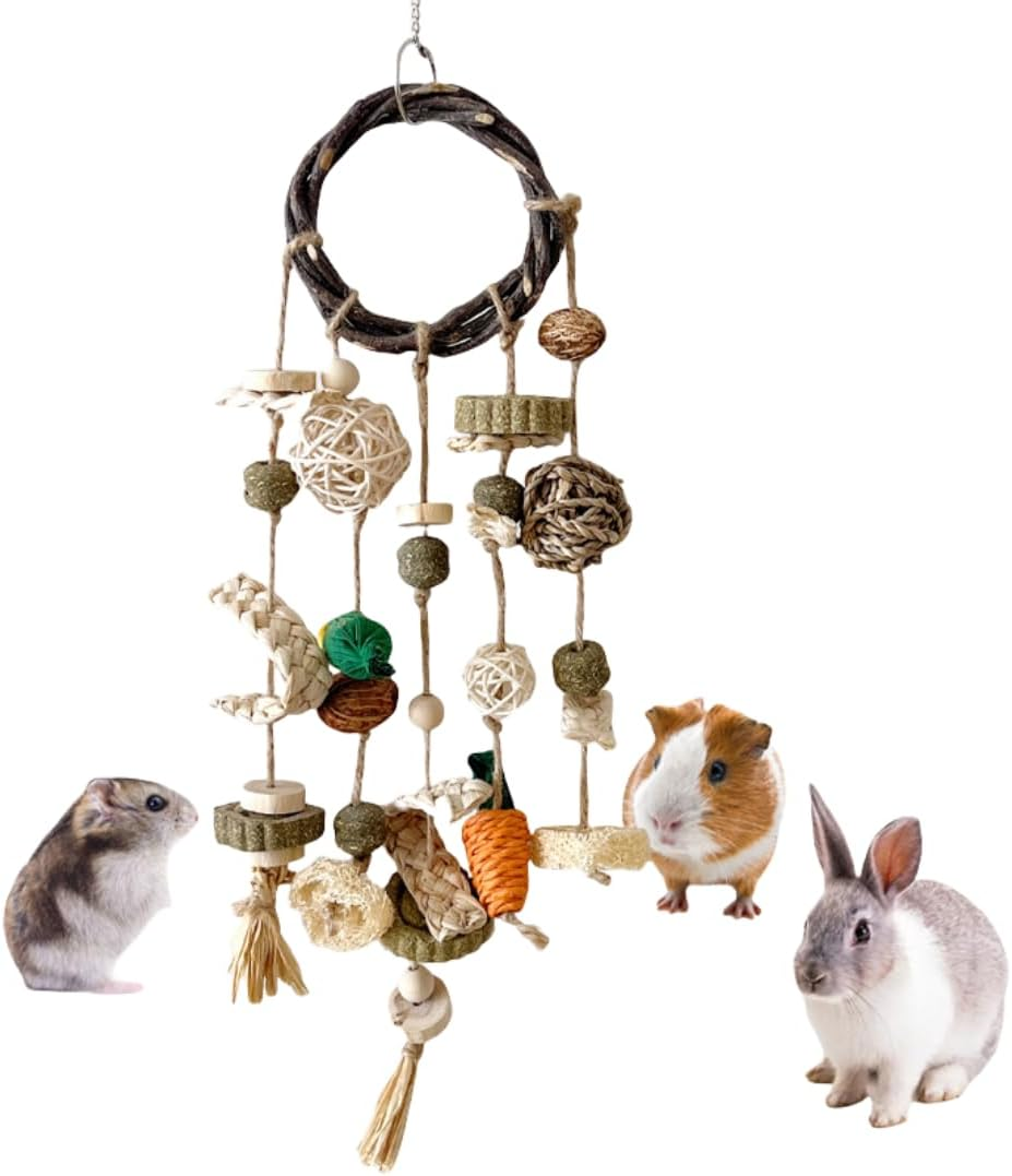 Bunny Chew Toy, Natural Applewood Bunny Boredom Breaker Treats Rattan Ring Chew Toys, Cage Hanging Toys with Snacks Grass Ball Carrot for Rabbits, Hamsters, Guinea Pig ﻿ image number 1