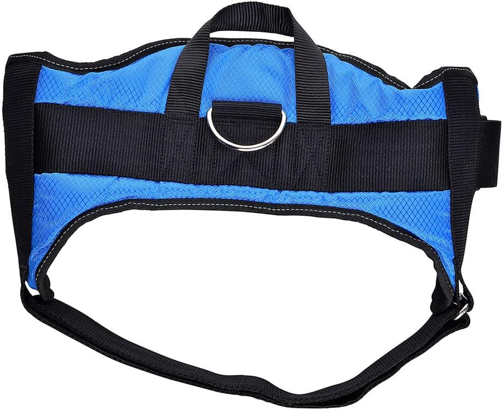 Hearts & Homies Dog Harness Blue Size S (Reference: S5002220)