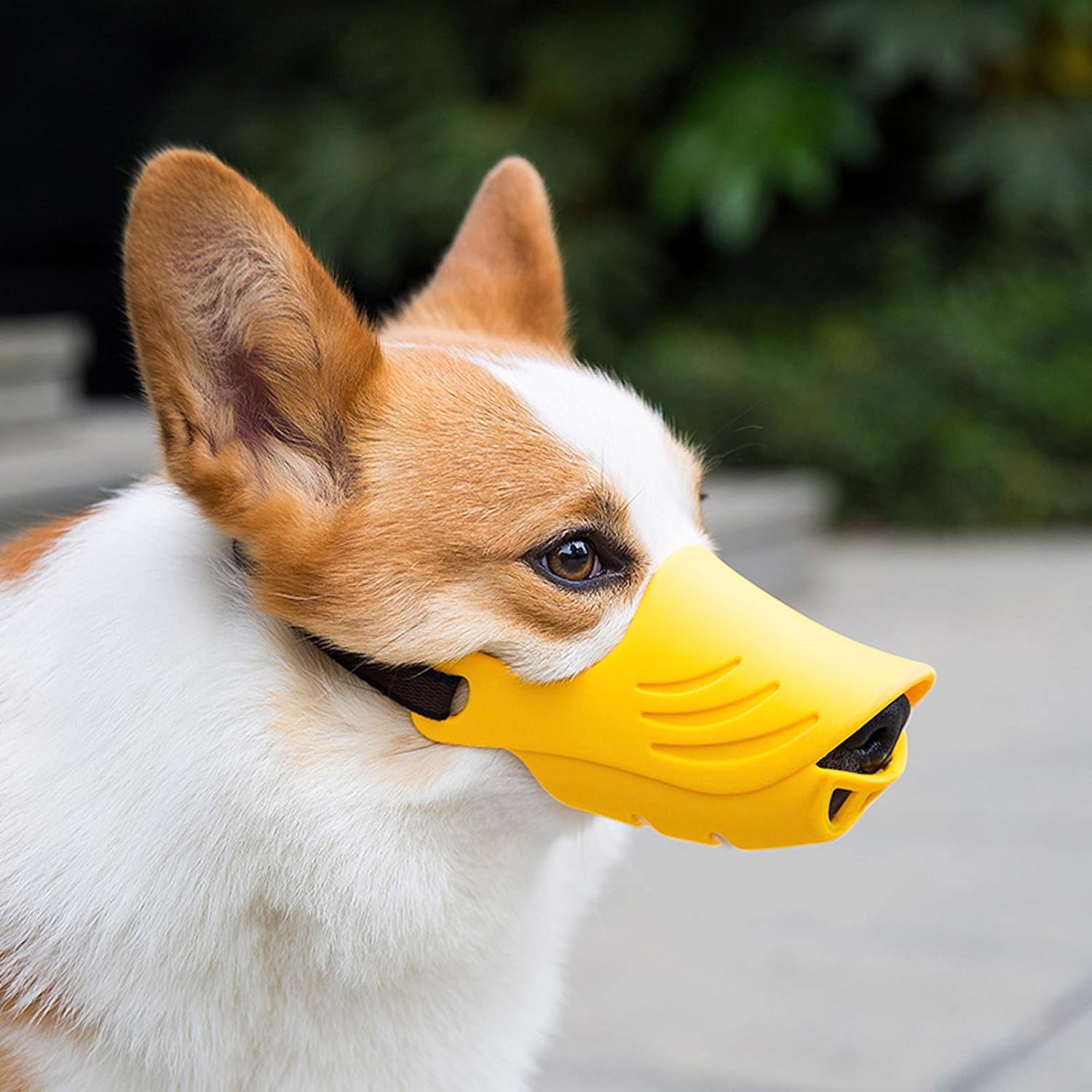 Dog Muzzle, Soft Duck Silicone Mouth Cover with Adjustable Strap for Small Medium Dogs, Best to Prevent Barking, Biting, and Chewing(Yellow,L) image number 7
