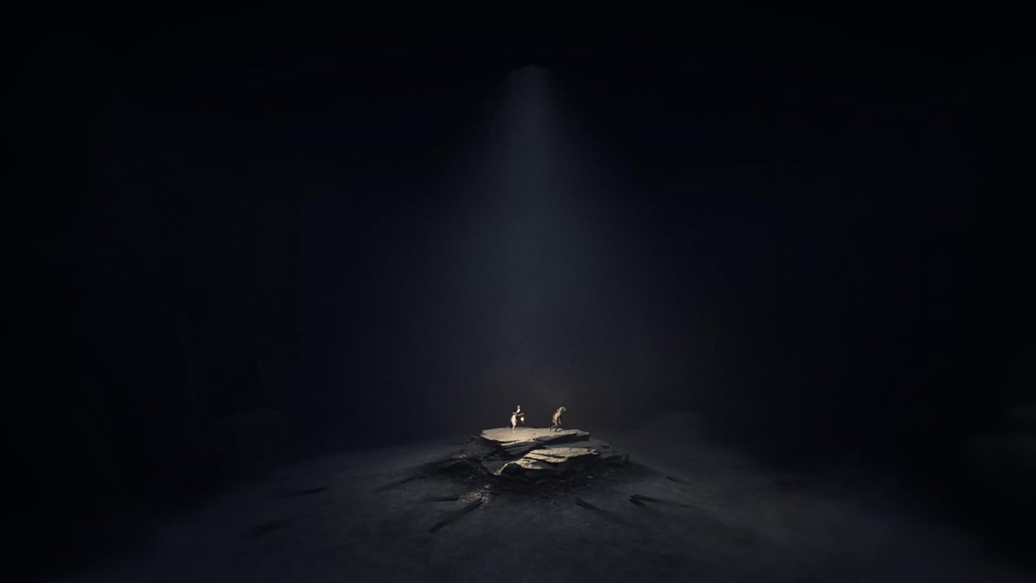 Reanimal: Deluxe Edition - Playstation 5 image number 6