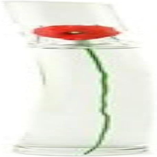 Kenzo Flower Eau De Toilette, 100Ml image number 3