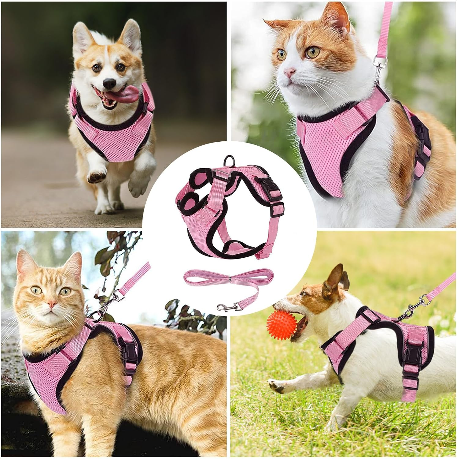 Pink Kitten Harness, Adjustable Soft Cat Harness Set, Cat Harness Kitten with Reflective Strips, Cat Lead with Harness for Cats, Cat Harness for Small, Medium Kittens (XS) image number 3