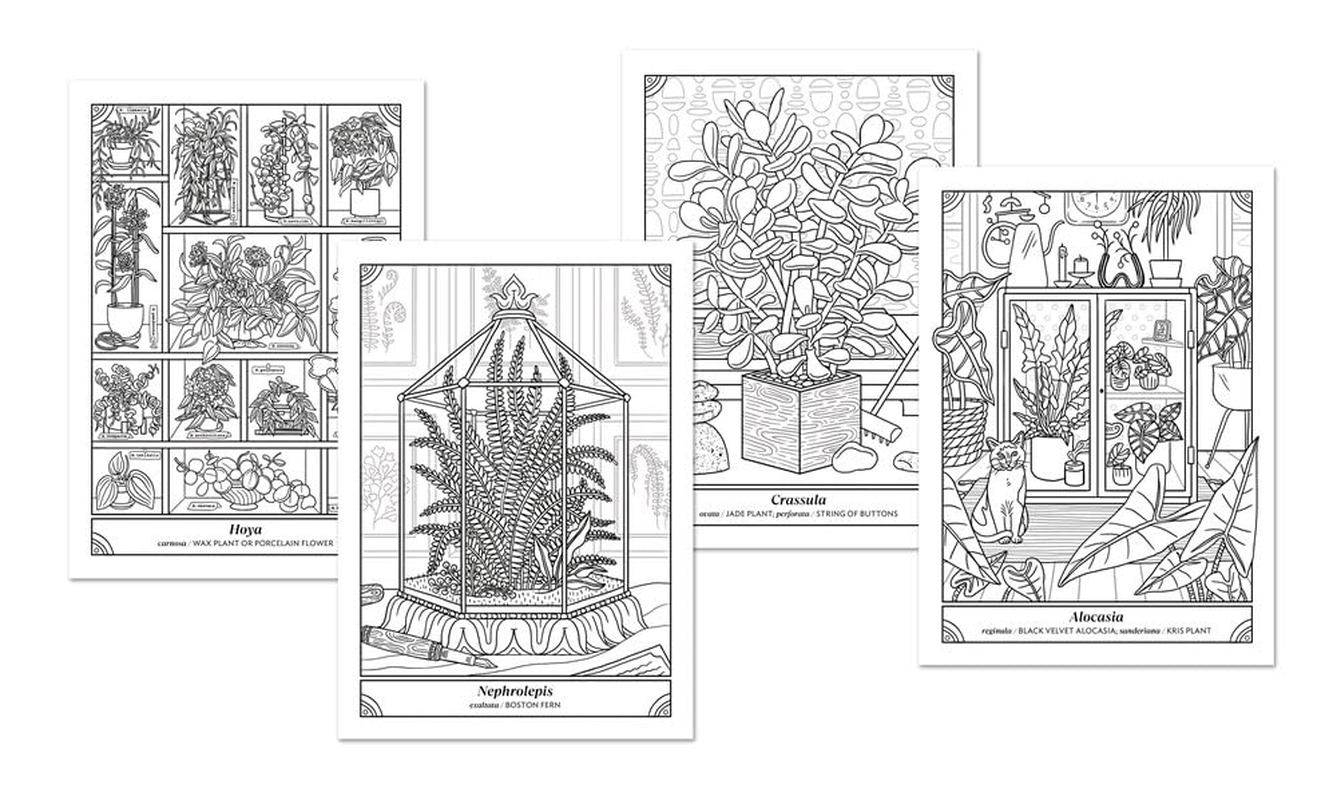 The Happy Houseplant Coloring Book: 50 Plants to Color and Care For: an Indoor Gardening Coloring Book