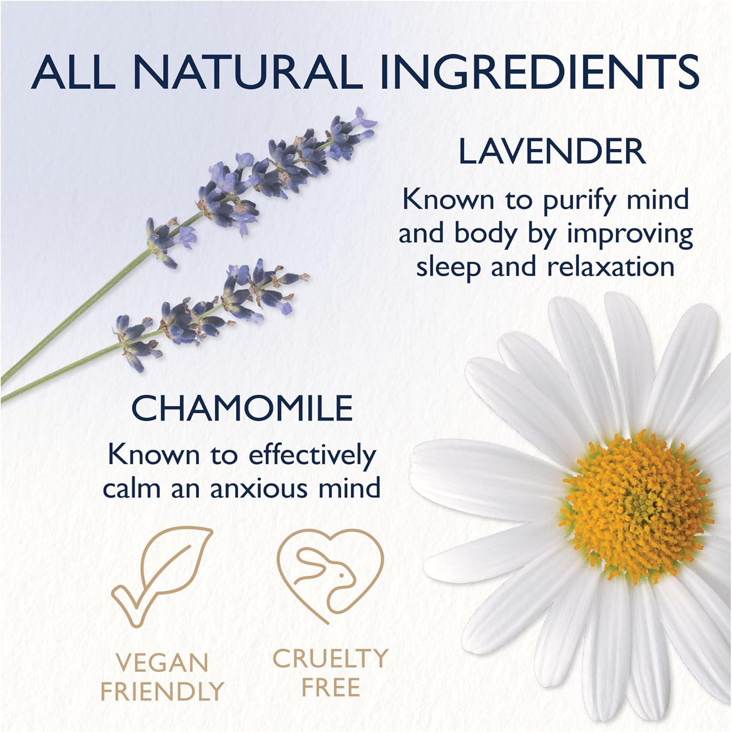 Feather & down Feather & down Dream Perfect Sleep Essentials Gift Set, 110 Ml, 4 Count (Pack of 1)