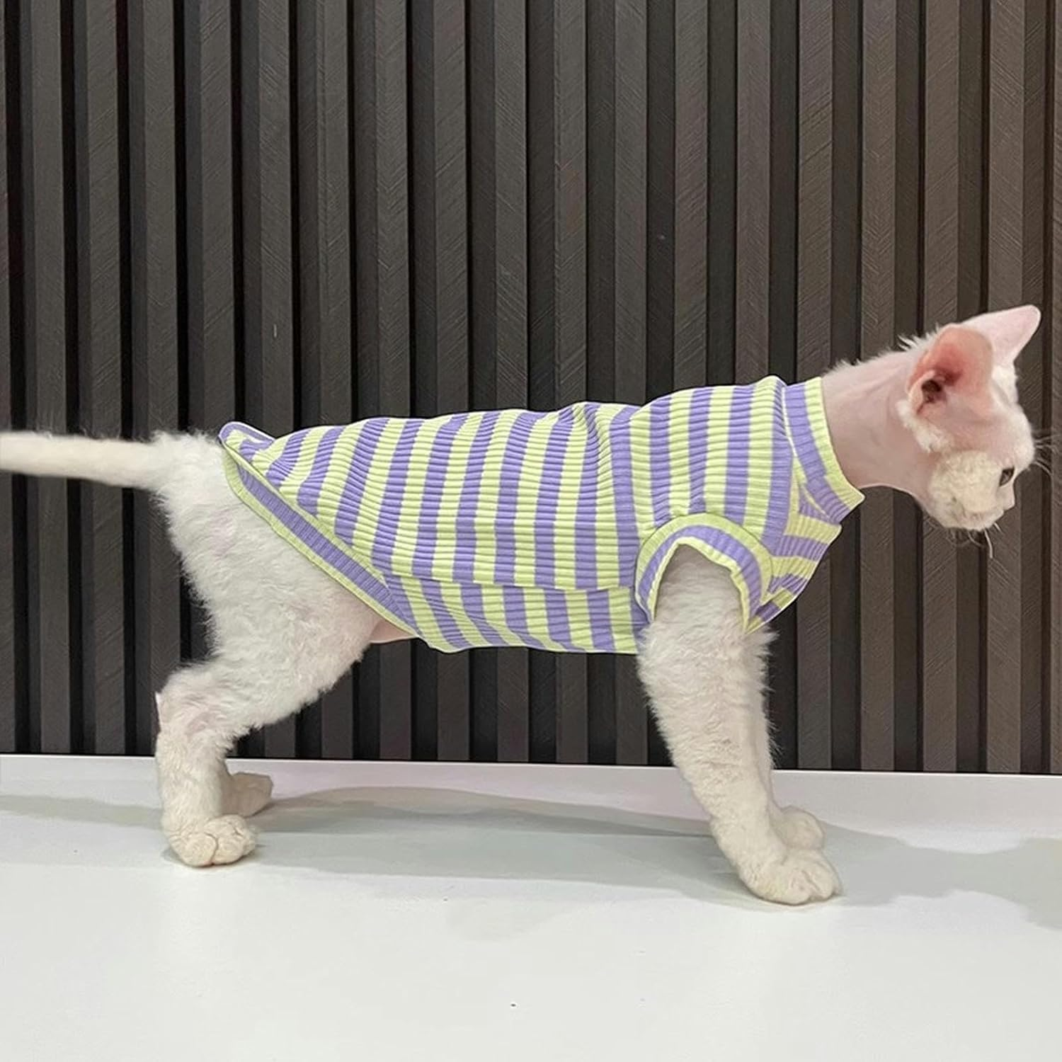 IUOUTG Sphynx Hairless Cats Clothes Striped Cat Shirts round Collar Cute Kitten T-Shirts Sleeveless Cotton Cats & Small Dogs Apparel for Cornish Rex, Devon Rex