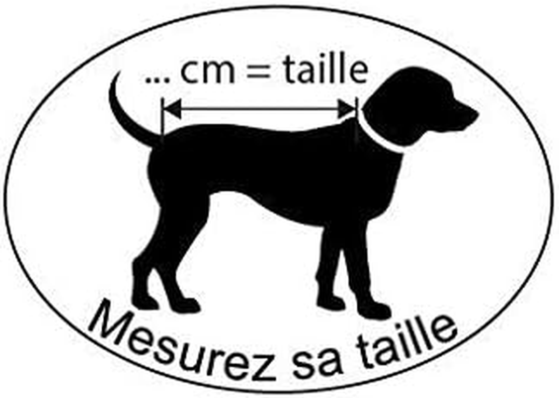 Wouapy 728430 Coat for Dogs Motor Cycle, Size 30, Red