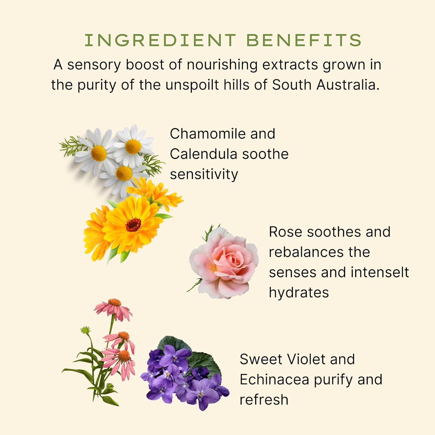 Rose Hand Wash image number 1