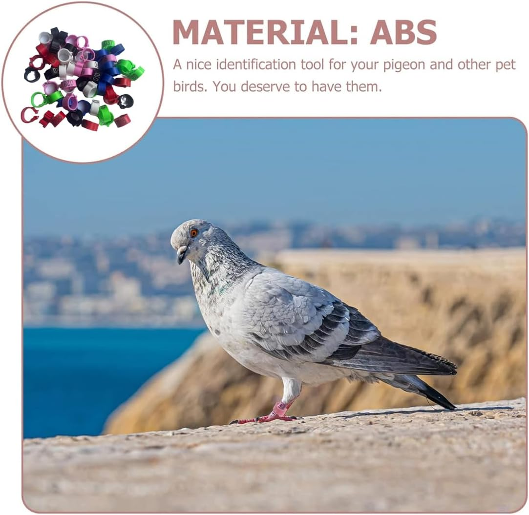 AIMALL 100 PCS Pigeon Bayonet Digital Foot Ring, 10Mm Pigeon Leg Band for Breeding and Racing, Durable Plastic Material, Easy to Use - Dark Blue image number 6