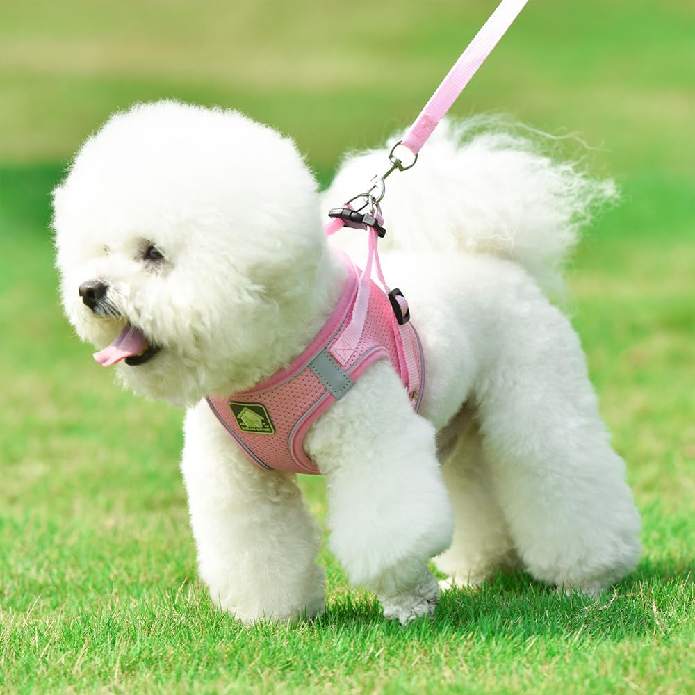 Velmoriah Small Dog Harness and Leash Set, No Pull Breathable Soft Mesh Puppy Vest Harness, Adjustable Reflective Pet Harness Vest for Cats Small Medium Dogs (L)