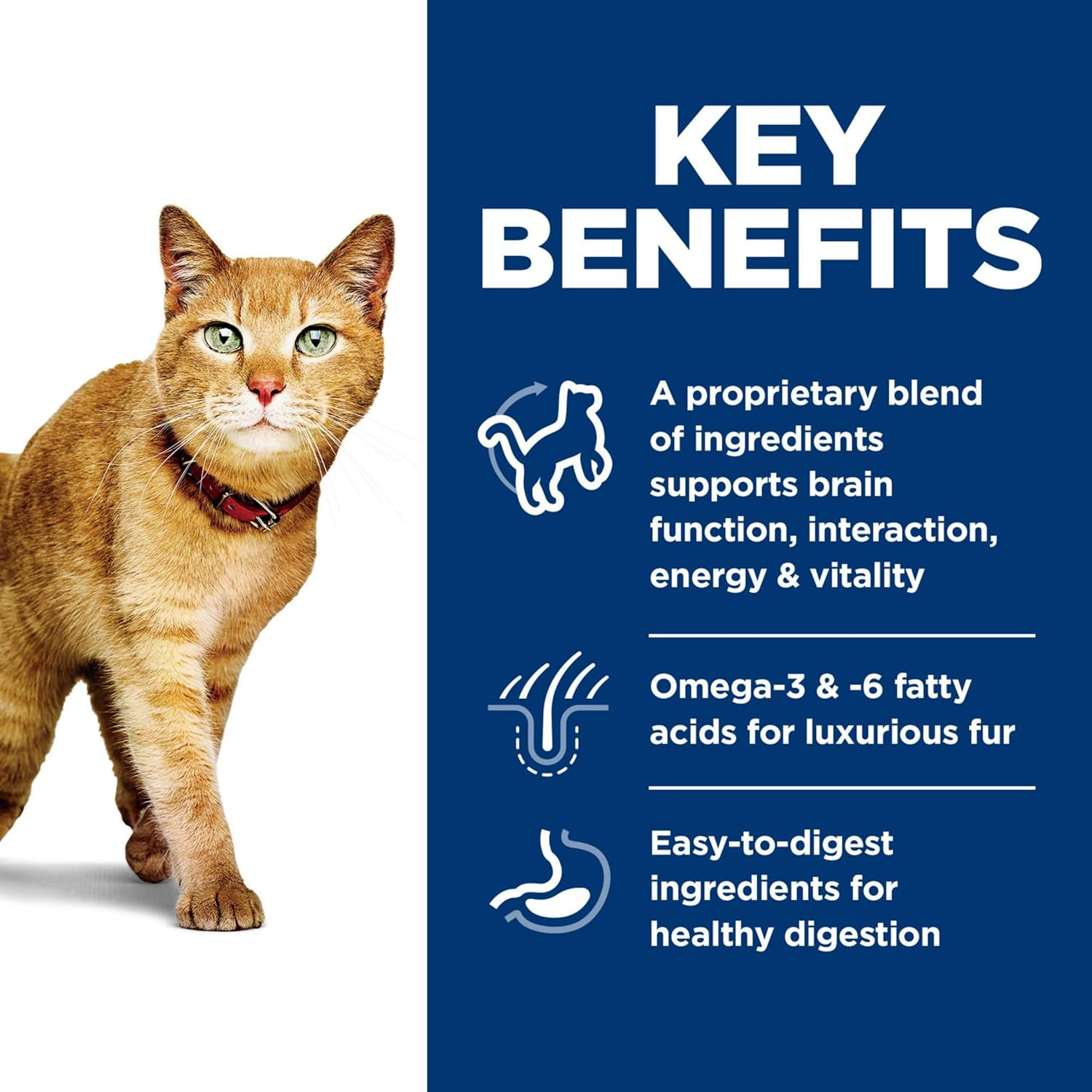 Hill'S Science Diet Senior Vitality Adult 7+, Chicken and Rice Recipe, Dry Cat Food for Older Cats, 2.72Kg Bag image number 3