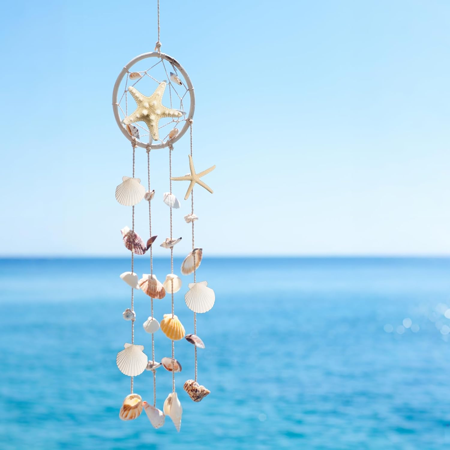 12PCS Starfish Scallop Shells for Crafts 3.5"-4.7" Large Mixed Star Seashells Bulk Fish Shells Decorations for Making Fish Tank Home DIY Decorations Wedding Decor Crafting Craft image number 1