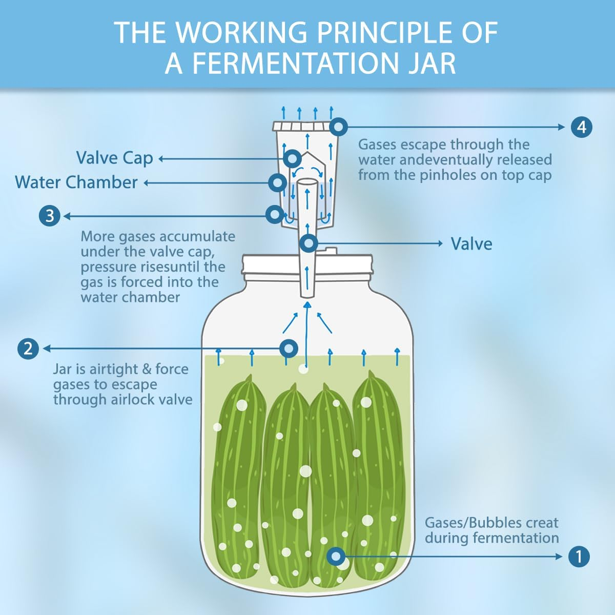 Blissify 4 Pack 1L Fermentation Jar with 4 Airtight Lids 4 Airlock 4 Fermentation Weights, Wide Mouth Glass Mason Jar with Scale Mark, Fermentation Kit for Beginners image number 6