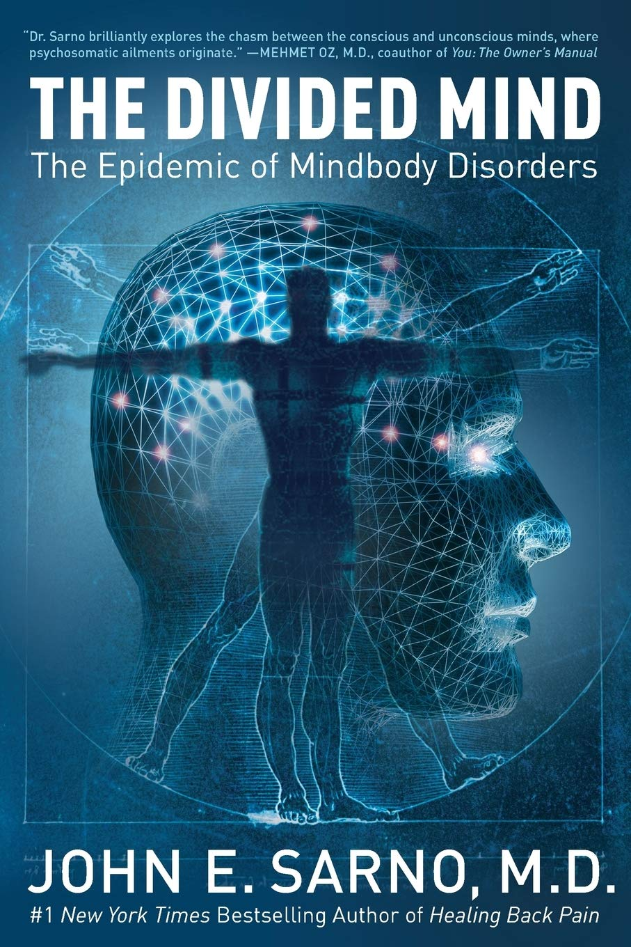 The Divided Mind: the Epidemic of Mindbody Disorders image number 1