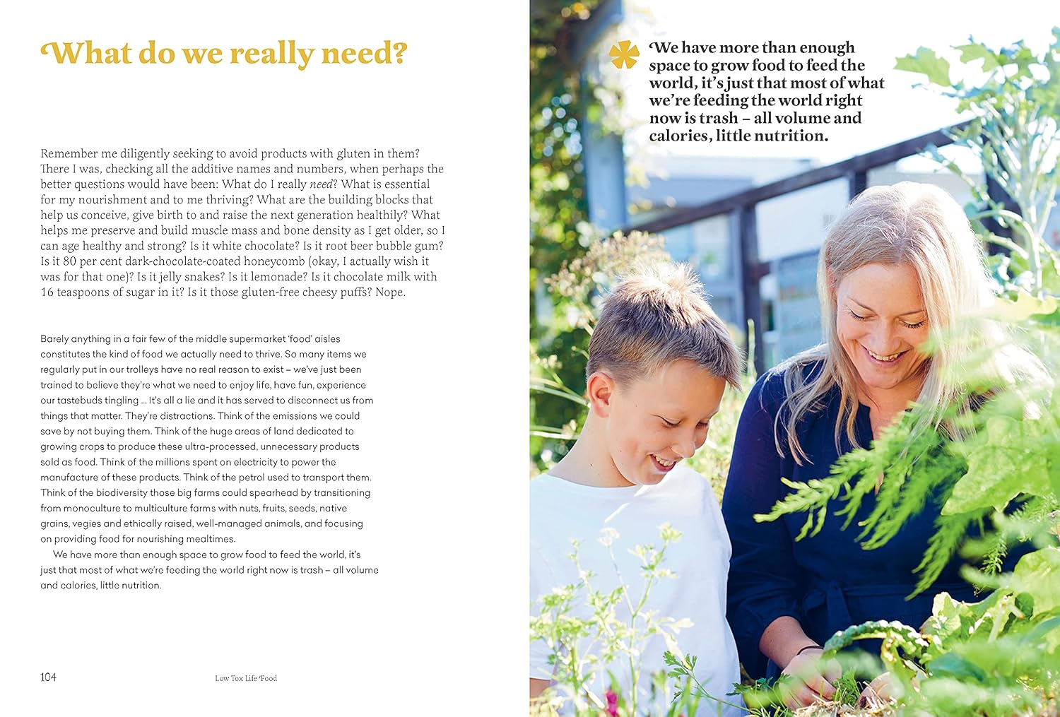 Low Tox Life Food: How to Shop, Cook, Swap, save and Eat for a Happy Planet