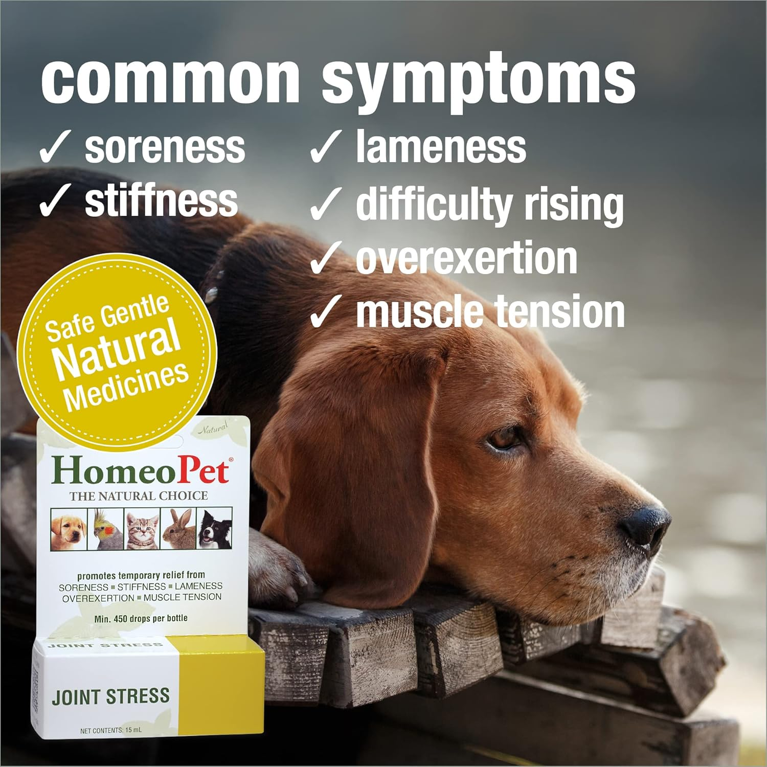 Homeopet Joint Stress, Joint Support for Dogs and Cats, Liquid Pet Meds to Support Healthy Joint Movement, 15 Milliliters image number 5