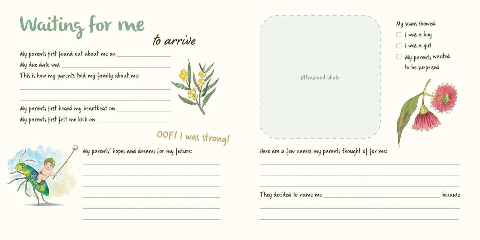 Baby Book: My First 3 Years (May Gibbs) image number 5