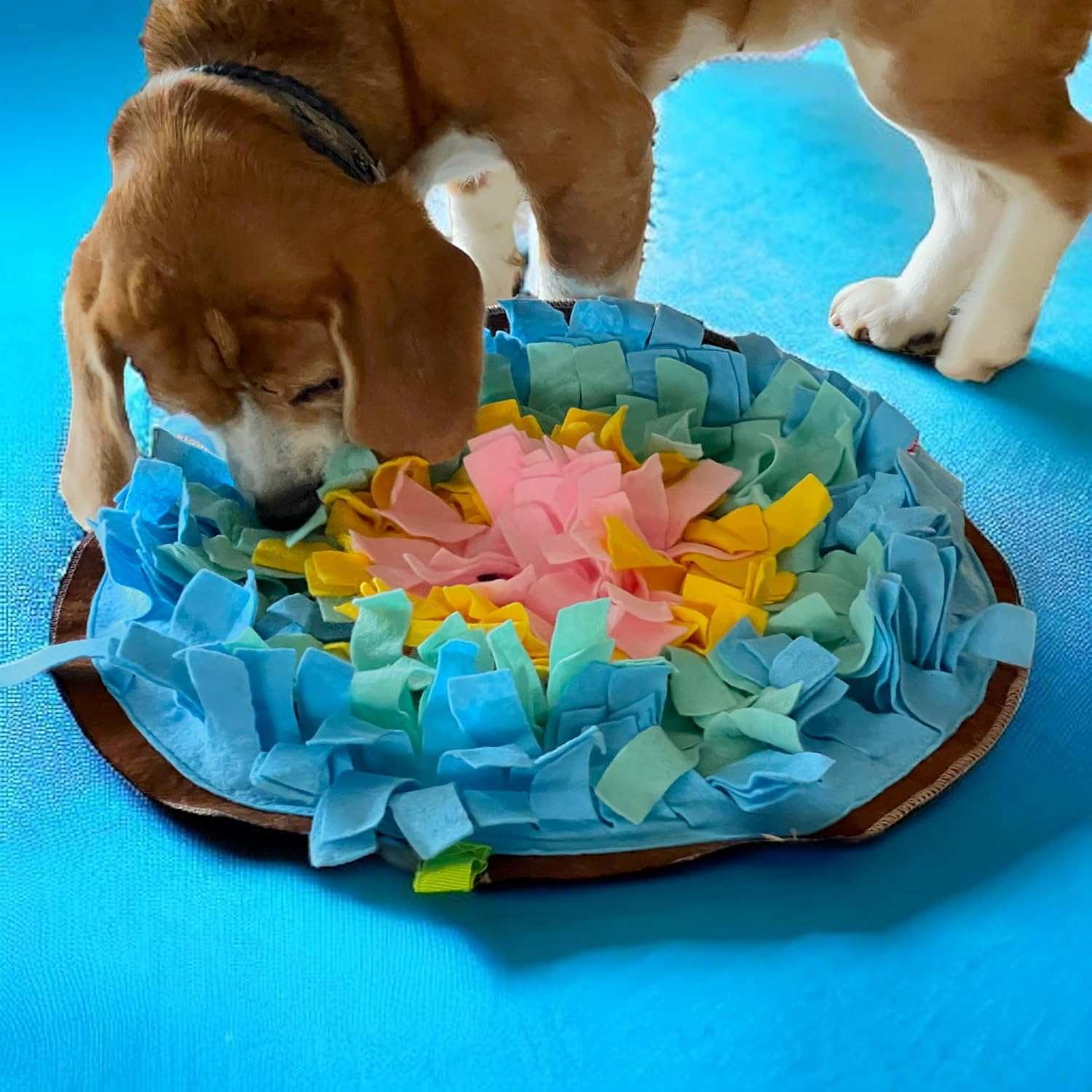 MIJOMA round Snuffle Mat for Dogs - Diameter 45 Cm Treat Rug & Dog Training Mat, Feeding Mat for Puppies, Non-Slip Silicone Nubs, Portable & Rollable Design, 8 Cm Long Felt Strips image number 6