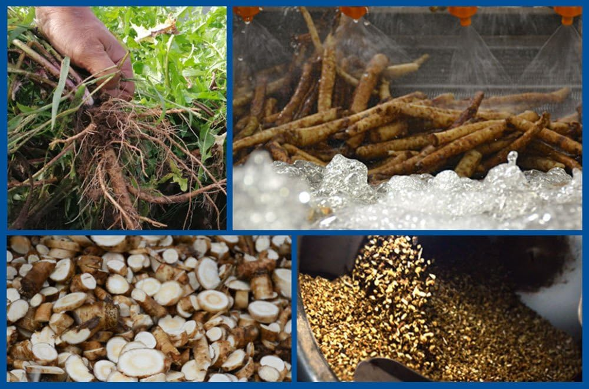 Tooget Dandelion Root - Cut & Sifted, Natural Dried Dandelion Root Loose Tea Wholesale - 8 OZ image number 5