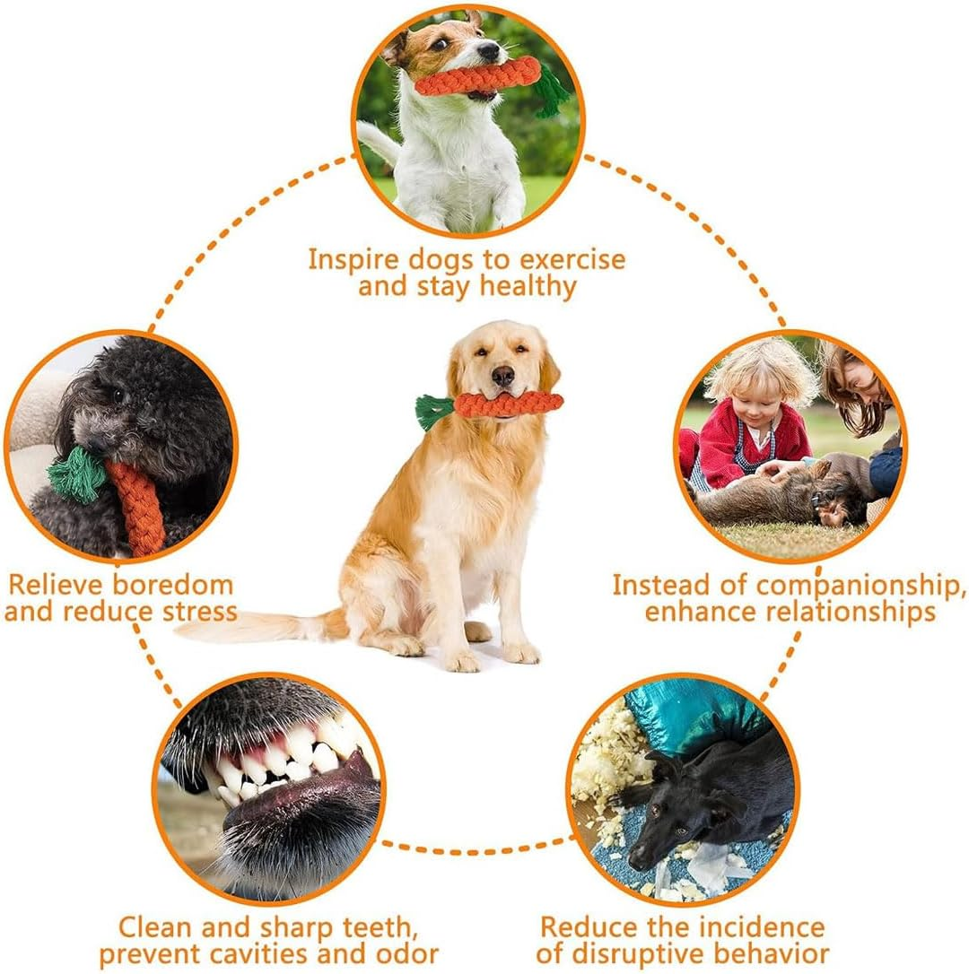 YOCDNOV Pack of 2 Dog Toys Carrot - Carrot Rope Toy Braided Interactive Chew Toy Puppy Carrot Rope Toy Braided Interactive Dog Toy (22 X 3 Cm)