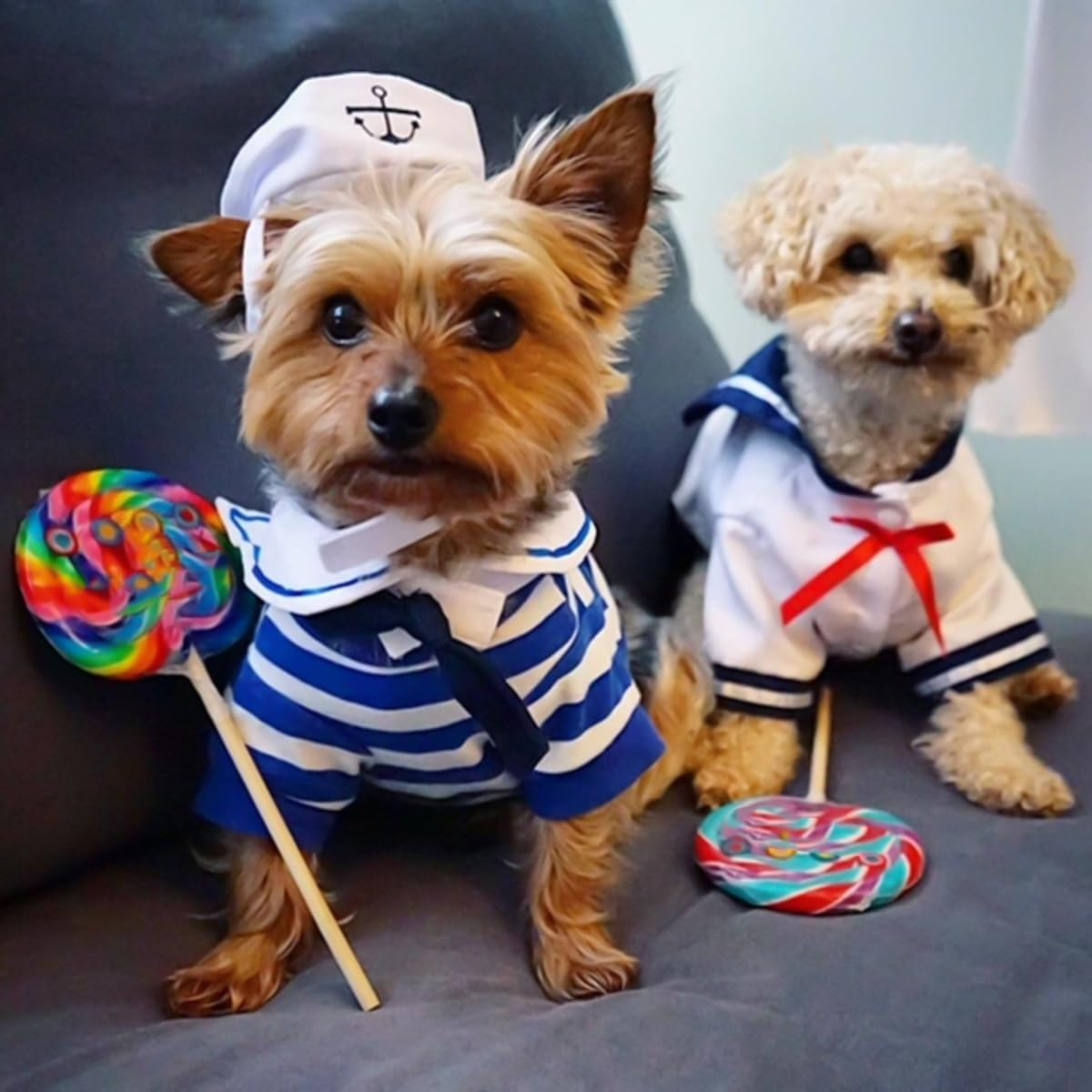 Gorise Adjustable Pet Sailor Outfit for Cats and Dogs &ndash; Navy Collar Maritime Cape, Cute Sailor Costume image number 3