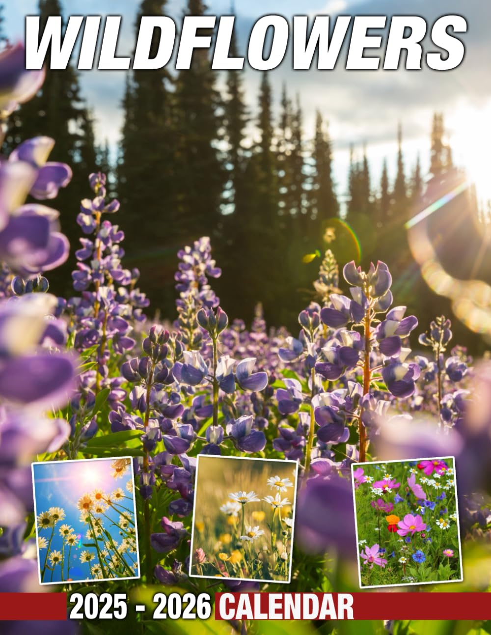 Wildflowers Calendar 2025 - 2026: a 24-Month Planner Covering Jan 2025 to December 2026, Perfect Novelty Gift for Organizing & Planning, US Holidays, Office Decor