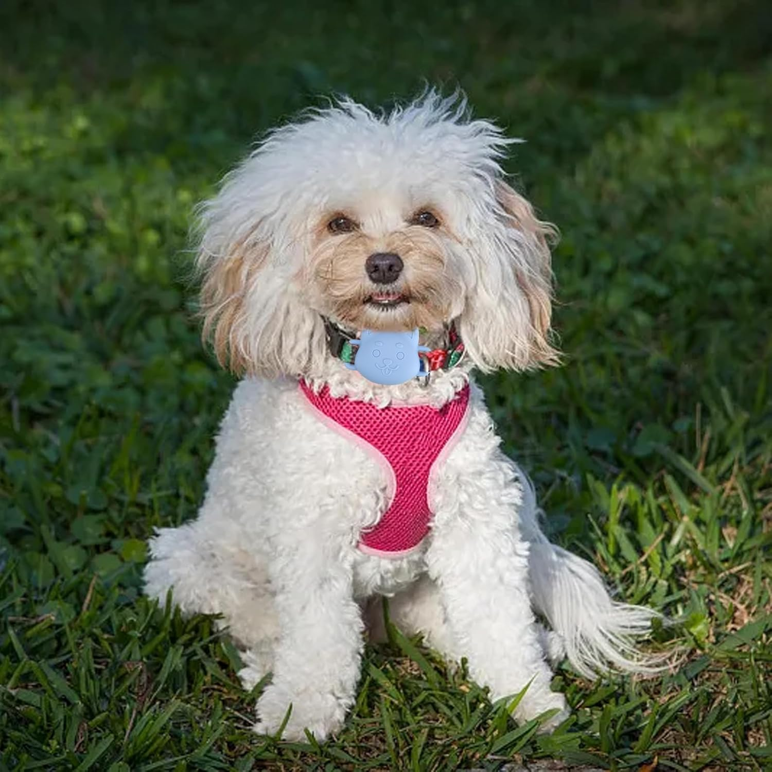 HERKINDNESS Anti-Lost Locator Case, Pack of 4 Dog and Cat GPS Case, Anti-Lost Locator Protective Cover Silica Gel 2.7 Cm, Protective Cover of the Position Controller for Protection of Animal Tracking