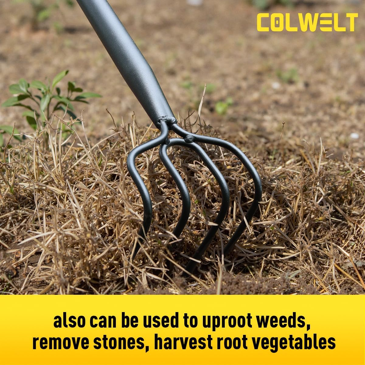 Colwelt 4 Tines Garden Cultivator Rake 59'', Hand Tiller Garden Tool with Sharp Forged Steel Head, Cultivators for Gardening with Long Handle, Garden Tiller for Digging Loosening Weeding image number 6