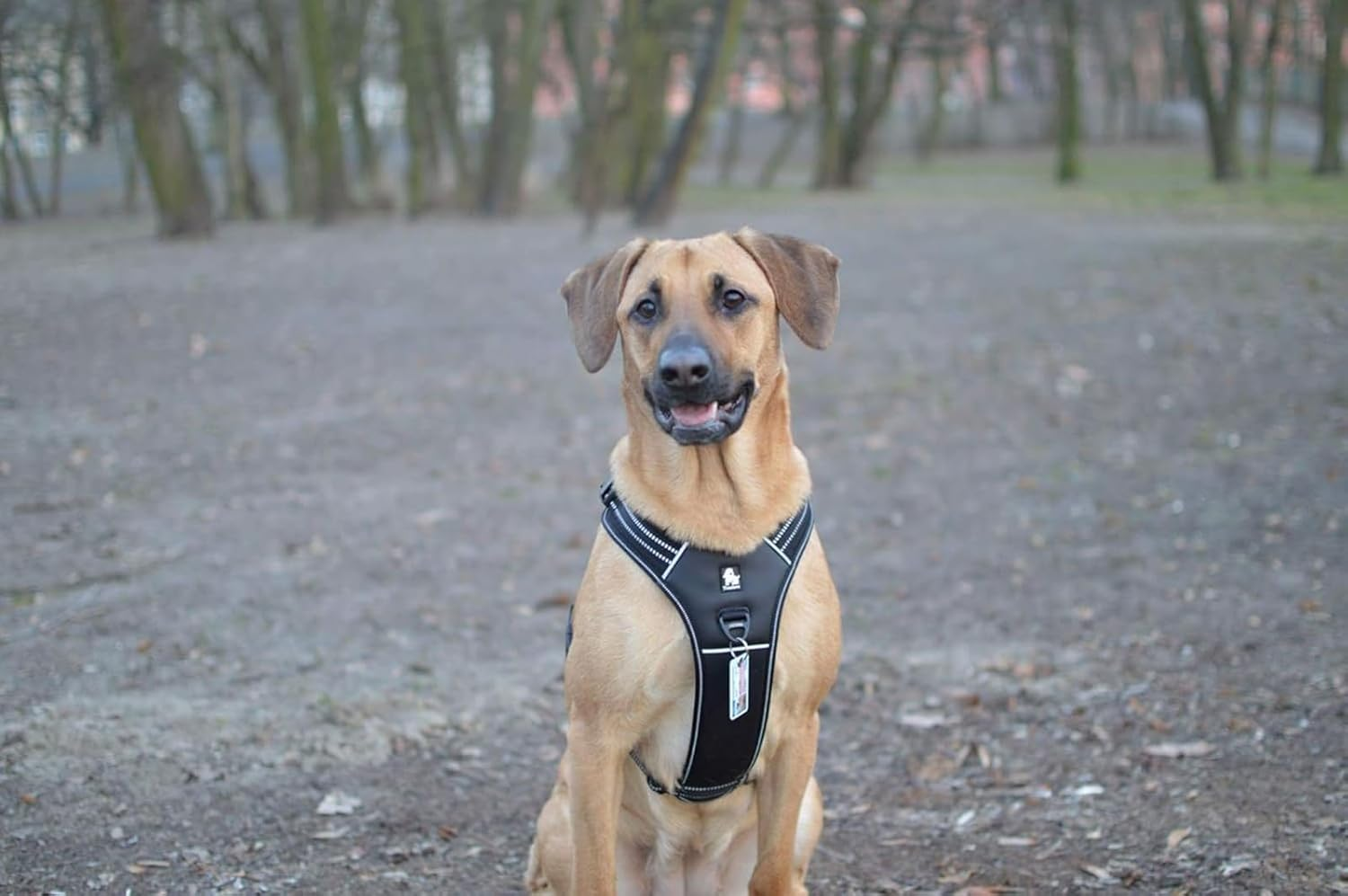 TRUE LOVE Reflective Dog Harness Handle Soft Padded No-Pull Pet Vest, Durable Oxford Outer Layer Large Breeds Truelove TLH5551(L, Black) image number 4