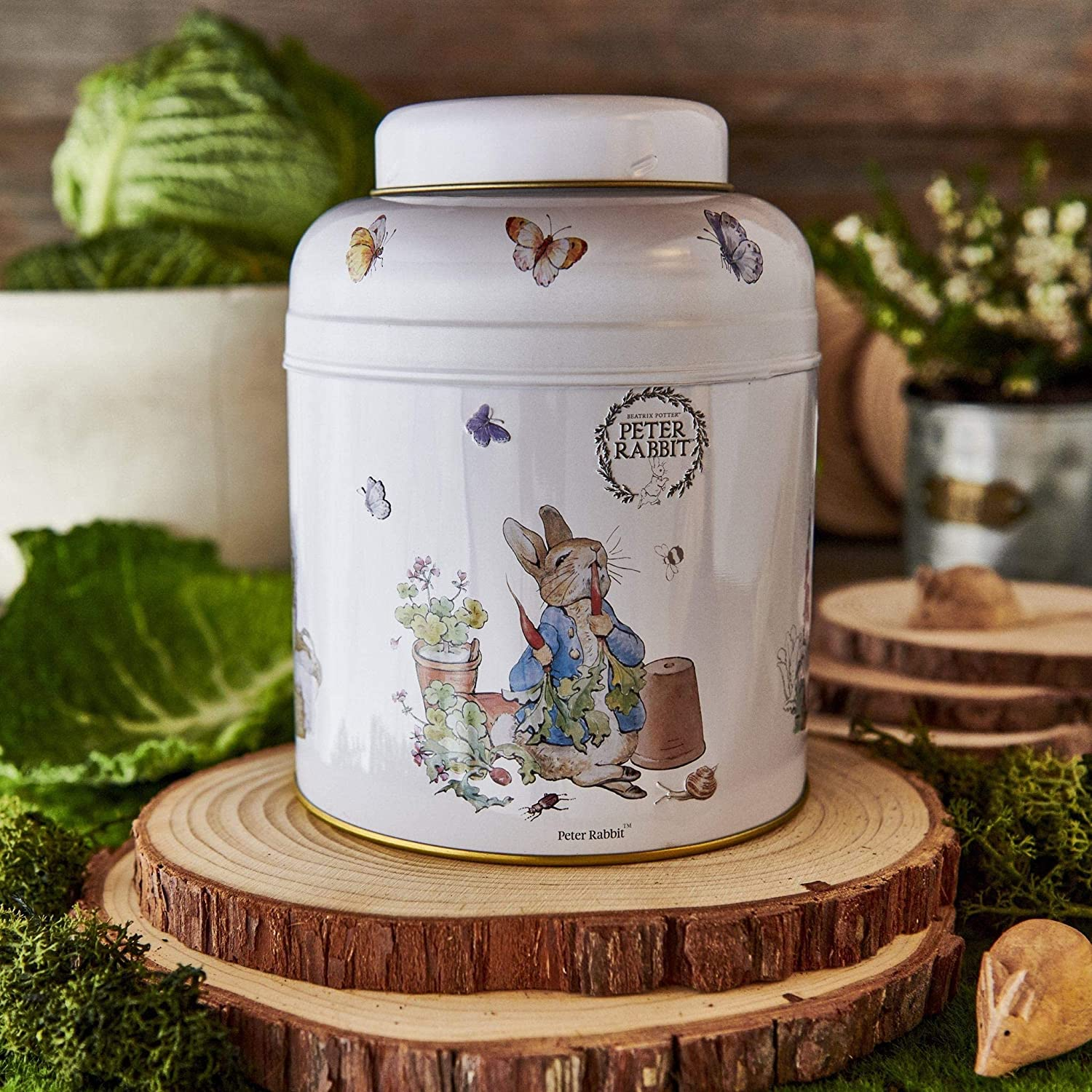 New English Teas Peter Rabbit Gift Tea Caddy with 240 English Breakfast Teabags - Beatrix Potter