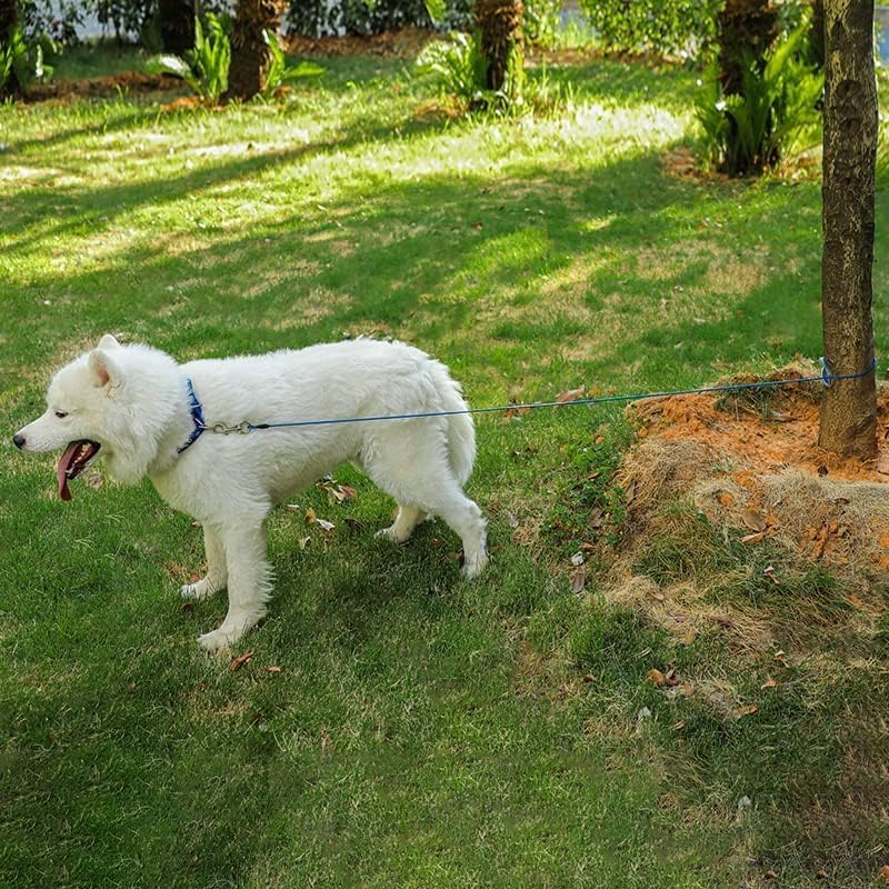 Mi Metty Chew-Proof Dog Lead, 6 Ft Bite-Resistant Dog Lead for Large Dogs up to 250 Lbs, Slip Lead with Comfortable Padded Handle