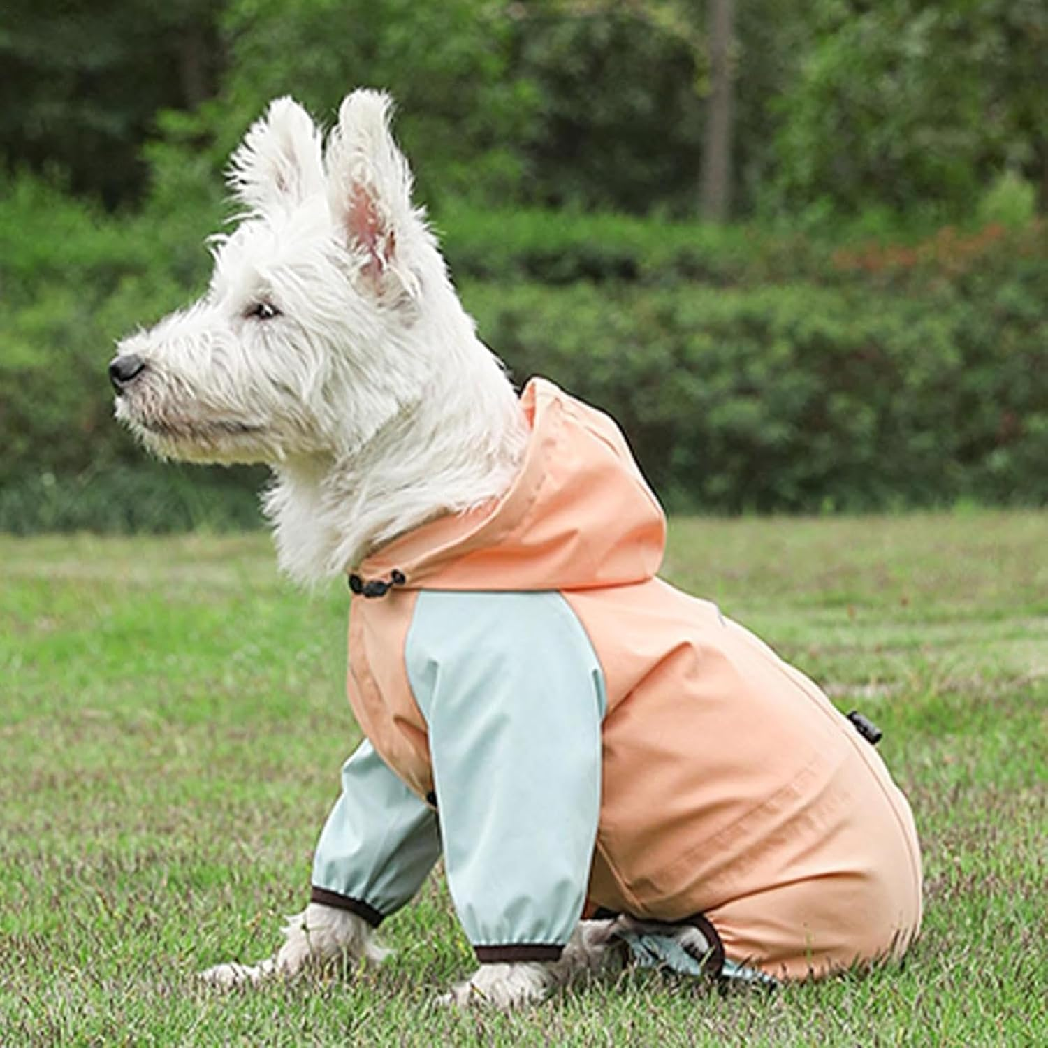 Dog Raincoat with Hood | Waterproof Reflective Pet Raincoat - Portable Dog Clothes for Small Dogs, Fashionable Pet Clothes with Legs for Small Dogs (Orange, XL)