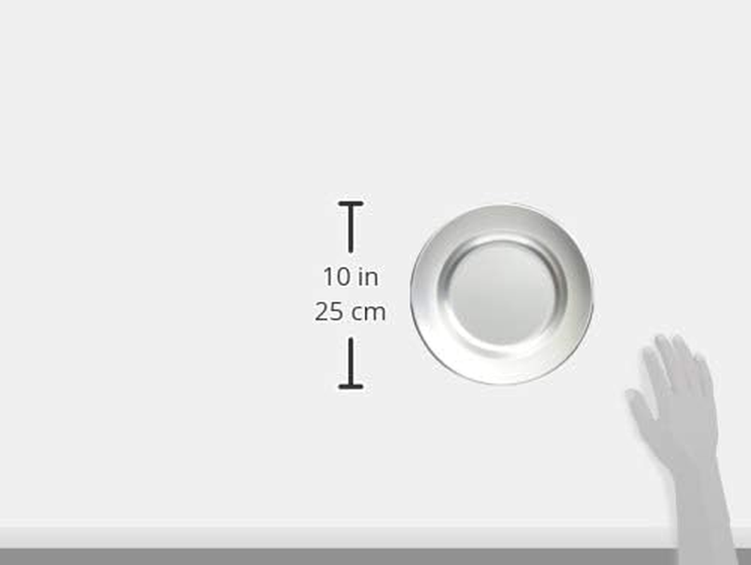 Maekawa Metal Bread Plate (Curry Plate) 9.4 Inches (24 image number 4