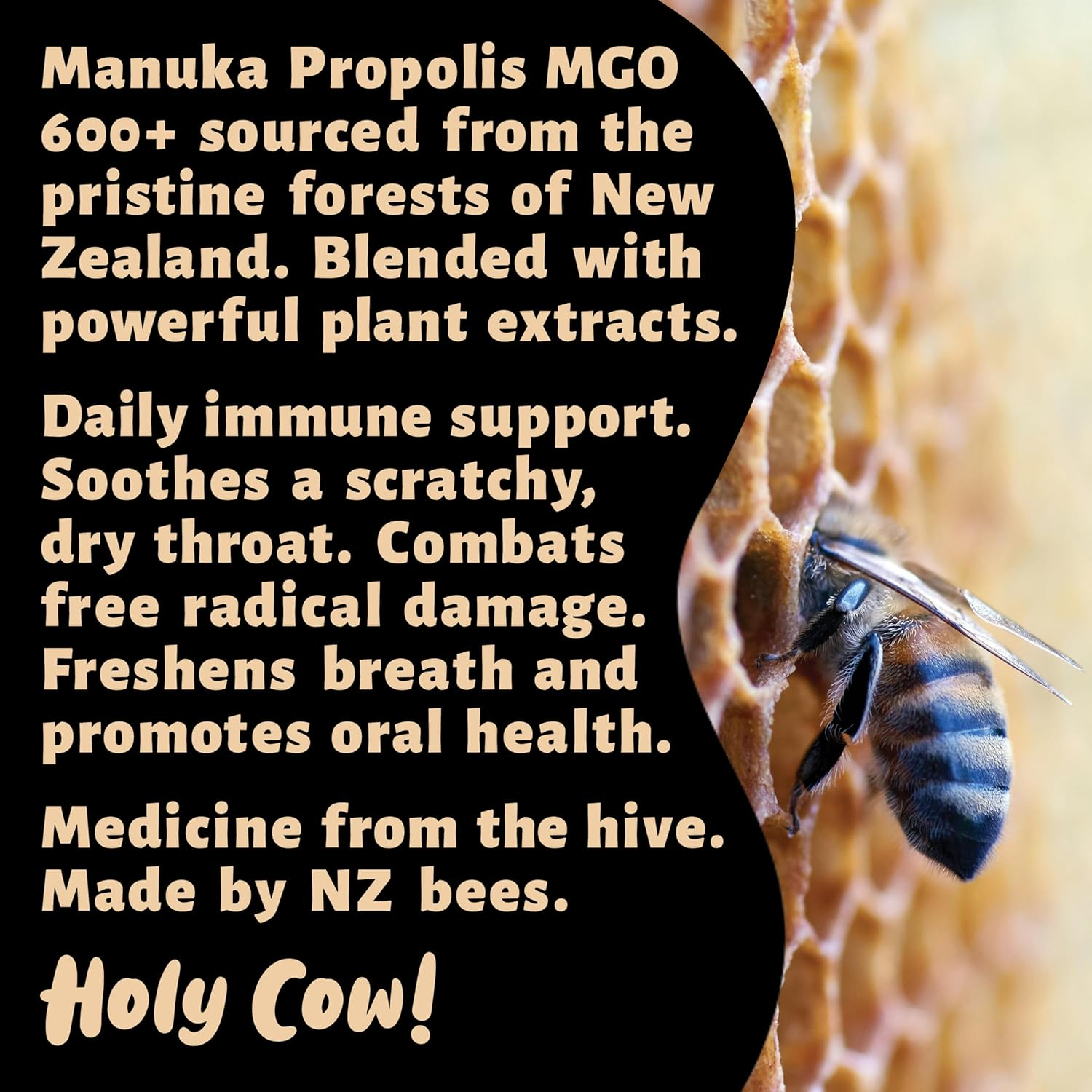 Propolis Throat Spray by Holy Cow Health