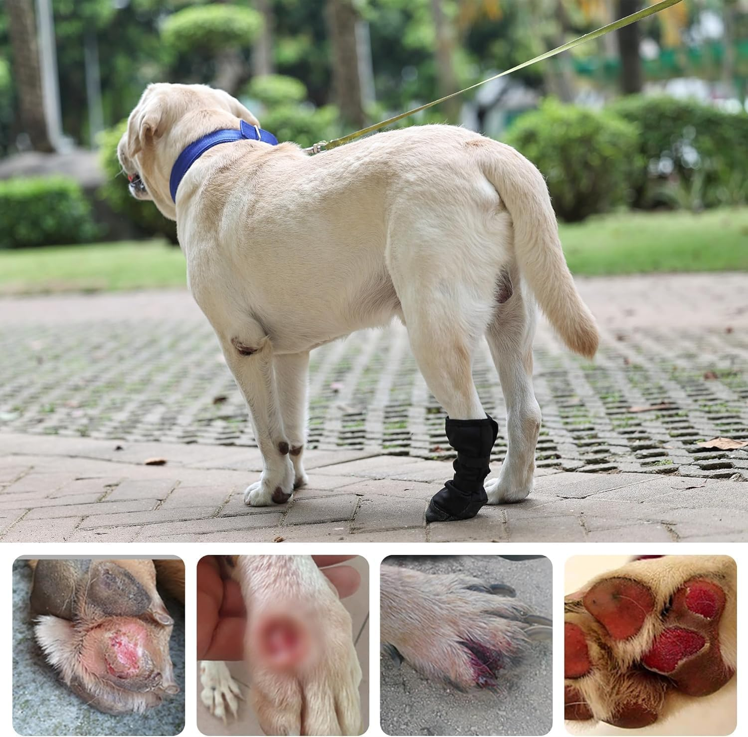 Dog Paw Wound Recovery Boot, Waterproof Bootie for Injured Paw, Anti-Slip Dog Shoe with Strap, Breathable Protector for Outdoor Walking & Keep Dogs from Licking Wounds (Black, S) image number 2