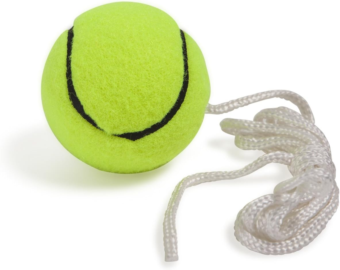 Champion Sports Portable Tetherball Set: Classic Backyard Lawn Beach and Pool Party Game Includes Soft Ball Nylon Rope & Durable Telescopic Pole with Free Air Pump image number 1